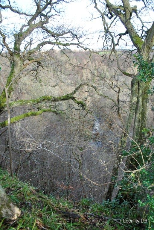 Derwent Gorge and Muggleswick Woods  NNR nature reserve (Durham)